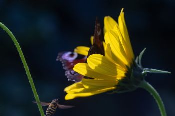 EA343599, Eastpress , Porvoo, Finland